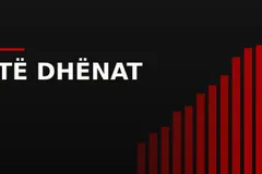 Ilustrim grafik me shtylla statistikore, një lupë dhe pika të dhënash mbi hartën e një qyteti