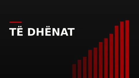 Ilustrim grafik me shtylla statistikore, një lupë dhe pika të dhënash mbi hartën e një qyteti
